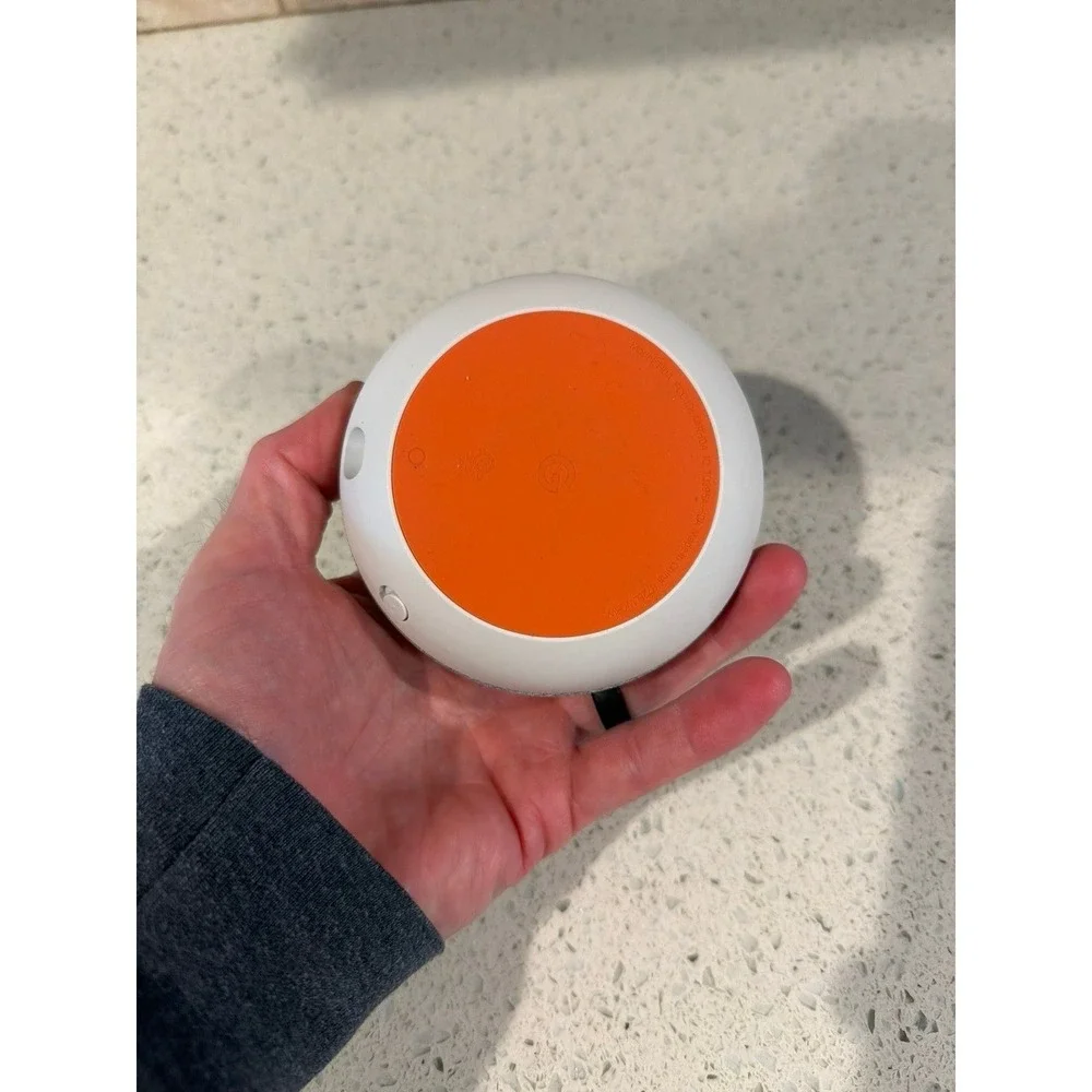 google home model